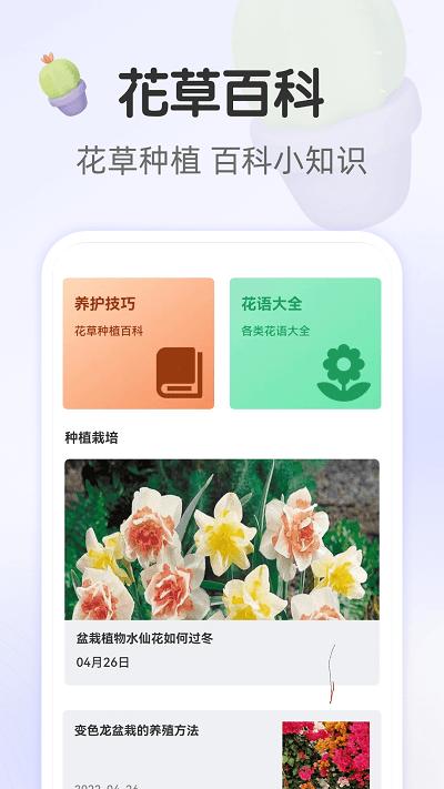 畅享大字版app下载,畅享大字版,资讯app,服务app